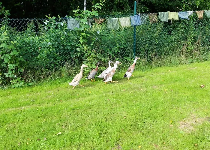 Lotus Hütte Apartment